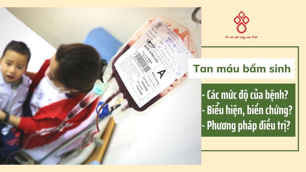 Tan máu bẩm sinh (thalassemia) là gì và điều trị như thế nào? - Viện Huyết học- Truyền máu Trung ương