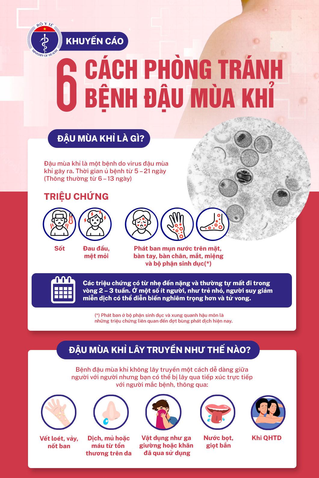 6 biện pháp phòng chống dịch bệnh đậu mùa khỉ - Viện Huyết học ...