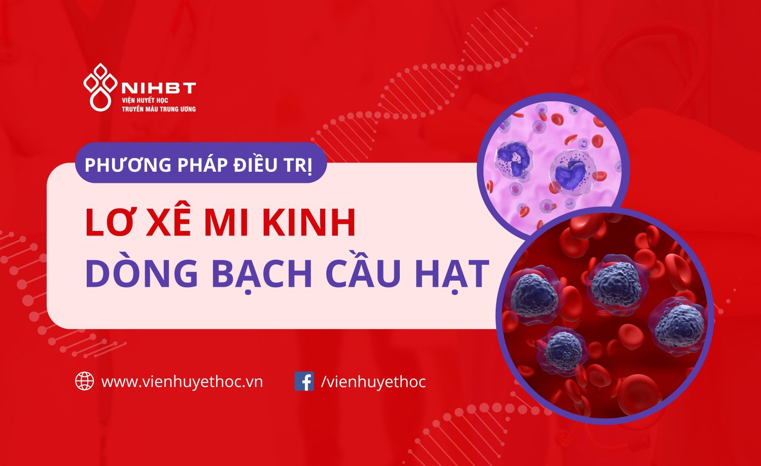 Phuong phap dieu tri lo xe mi kinh dong bach cau hat (2)